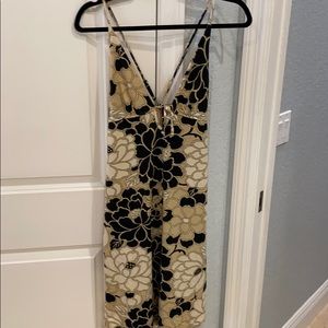 BCBG Dress